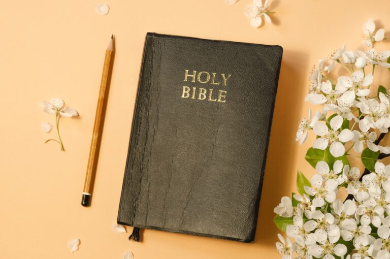 Reading bible